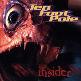 Album cover of Insider