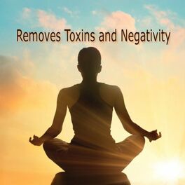 Album cover of Removes Toxins and Negativity