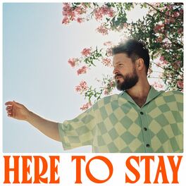 Album cover of Here to Stay