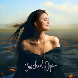 Album cover of Cracked Open