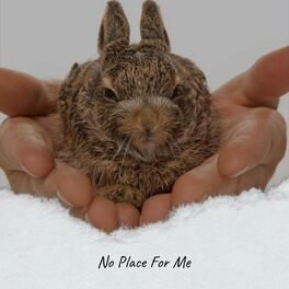 Album cover of No Place For Me