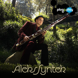 Album cover of Plug & Play