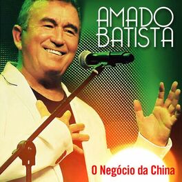 Peão de Obra  Amado Batista 40 anos - Amado Batista