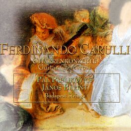 Album cover of Carulli: Guitar Concertos