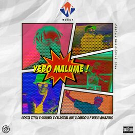 Album cover of Yebo Malume (feat. Costa Titch, Skhindi, Celestial Mic, Dando & Pdogg Amazing)