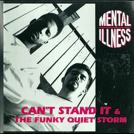 Album cover of Can't Stand It / The Funky Quiet Storm