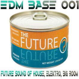 Album cover of EDM BASE 001 (Future Sound of House, Elektro, Big Room)
