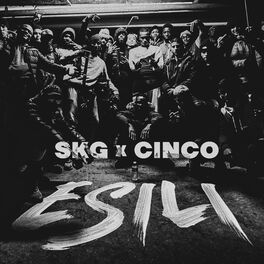 Album cover of Esili