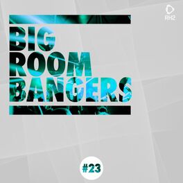Album picture of Big Room Bangers, Vol. 23