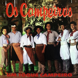 Album cover of Um Toque Campeiro