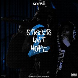 Album cover of Streets Last Hope 2