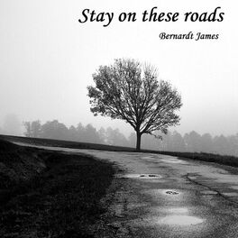 Album cover of Stay On These Roads