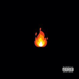Album picture of Fire