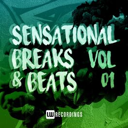 Album cover of Sensational Breaks & Beats, Vol. 01