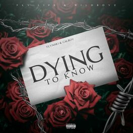 Album cover of Dying To Know (feat. Calboy)