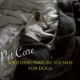 Album cover of Pet Care Soothing Nature Sounds for Dogs – Relaxing Therapy Music for Pets