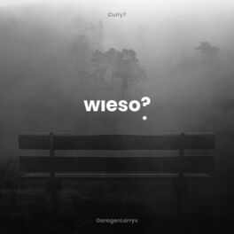 Album cover of Wieso