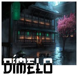 Album cover of Dímelo