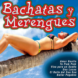 Album cover of Bachatas y Merengues