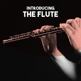 Album cover of Introducing: The Flute