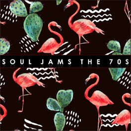 Album cover of Soul Jams: The '70s