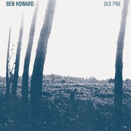 Album cover of Old Pine