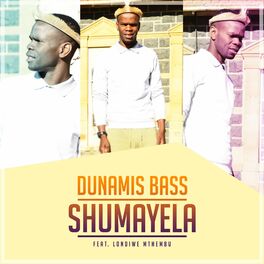 Album cover of Shumayela