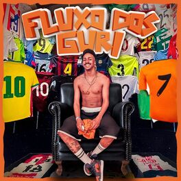 Album cover of Fluxo dos guri