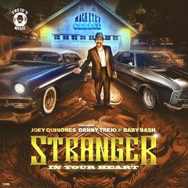 Album cover of Stranger In Your Heart (feat. Danny Trejo & Baby Bash)