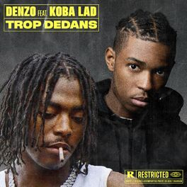 Album cover of Trop dedans (feat. Koba LaD)
