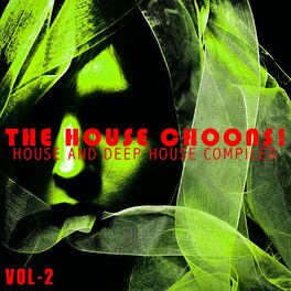 Album cover of The House Choons!, Vol. 2