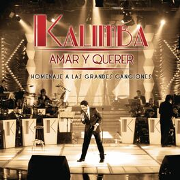 Album cover of Amar y Querer (Homenaje a Las Grandes Canciones)