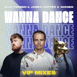 Album cover of Wanna Dance (VIP Mixes)