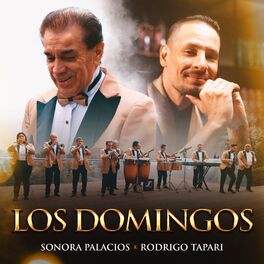 Album cover of Los Domingos (La Peineta)