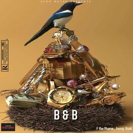 Album cover of Birds & Bees (feat. Ybe Phame & Young Buck)
