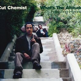 Album cover of What's The Altitude (feat. Hymnal) (DMD Maxi)