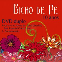 Album cover of Bicho de Pé 10 Anos - ao Vivo