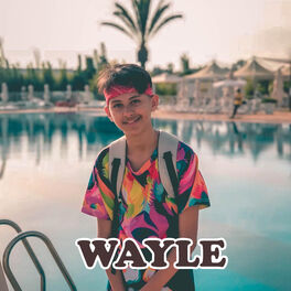 Album cover of WAYLE