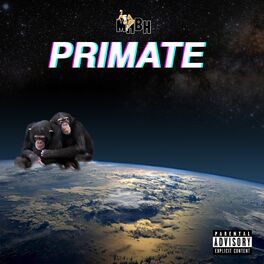 Album cover of Primate