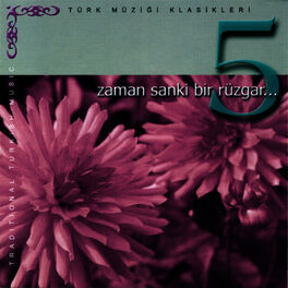 Album cover of Zaman Sanki Bir Rüzgar 5