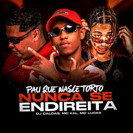 Album cover of PAU QUE NASCE TORTO NUNCA SE ENDIREITA