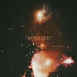 Album cover of Bonfire (Remix)