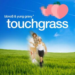 Album cover of touch grass (feat. Yung Gravy)