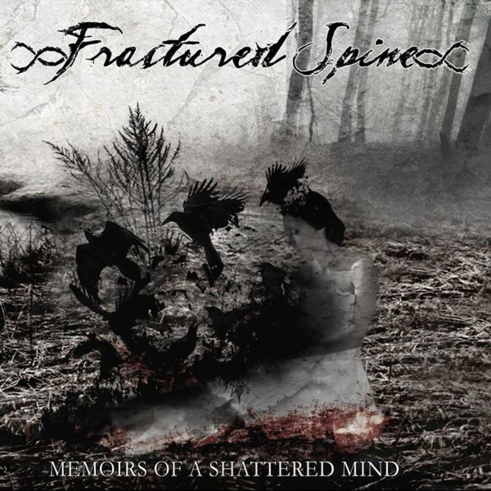 Shattered minds 0.10. Fractures группа. Shattered Mind. Shattered Mind фото. Fractured Mind.