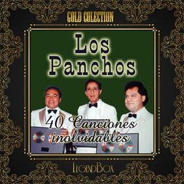 Album cover of 40 Canciones Inolvidables (Gold Collection)