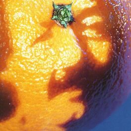 Album cover of A Picture of Nectar