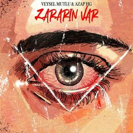 Album cover of Zararın Var
