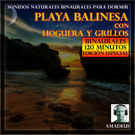 Album cover of Sonidos Naturales Binaurales para Dormir: Playa Balinesa Con Hoguera y Grillos: 120 Minutos Edición Especial