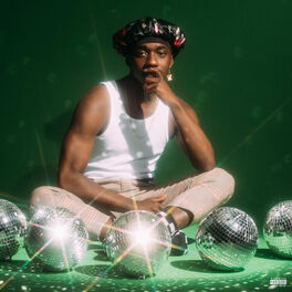 Album cover of They Call Me Disco