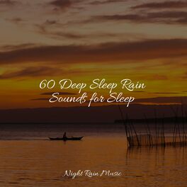Album cover of 60 Deep Sleep Rain Sounds for Sleep